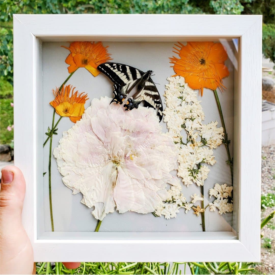 In The Aspen Garden - Pressed Flowers & Butterfly